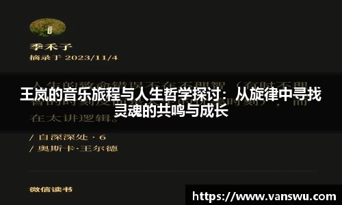 王岚的音乐旅程与人生哲学探讨：从旋律中寻找灵魂的共鸣与成长